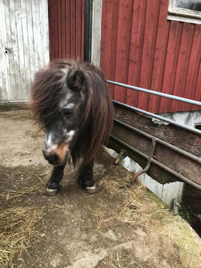 Bjorkely Gard